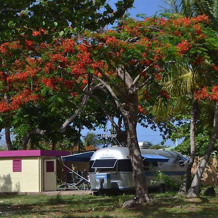 Airstream Paradise Bernard Esterno foto