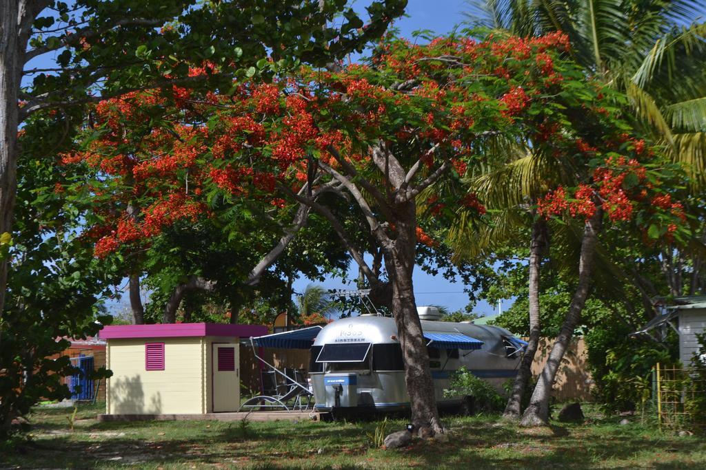 Airstream Paradise Bernard Esterno foto